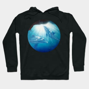 Dolphins playing Hoodie